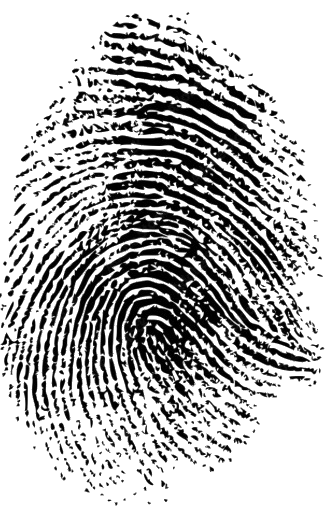 Fingerprint
